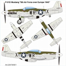 AIRPOWER 53  P-51D Mustang  1:87