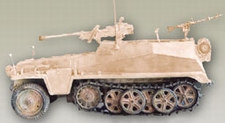 TRIDENT 90269  Sdkfz 250/11  1:87